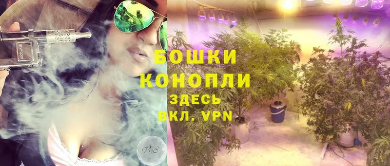 Бошки Шишки THC 21%  цена наркотик  Ивдель 